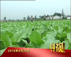 2014年4月30日新闻联播