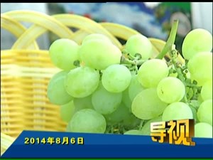 2014年8月6日新闻联播