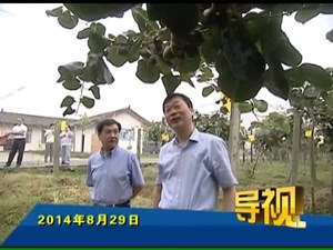 2014年8月29日新闻联播