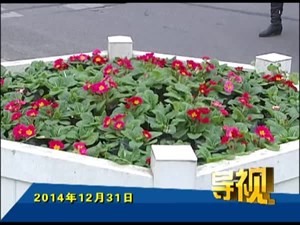 2014年12月31日新闻联播