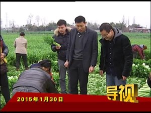 2015年1月30日新闻联播