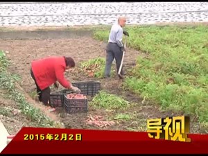 2015年2月2日新闻联播