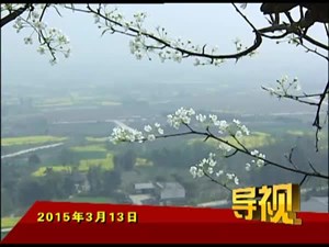 2015年3月13日新闻联播