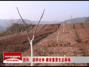 旌阳：巩固退耕还林 建设重要生态屏障
