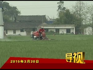 2015年3月30日新闻联播