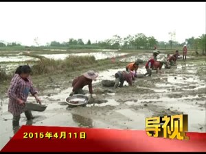 2015年4月11日新闻联播