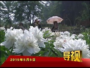 2015年5月5日新闻联播