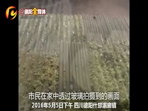 强降雨致德阳多地受灾 明天降雨结束