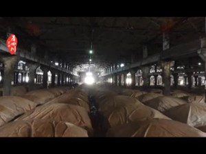 酒香弥漫de长江第一城