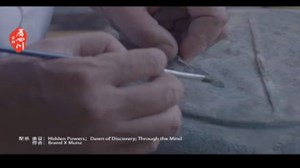 三星堆背后的那双手