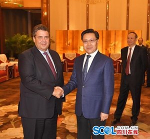 王东明会见德国副总理兼经济和能源部部长加布里尔