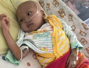 李小璐关注的德阳患病男童去世 愿天堂没有疼痛