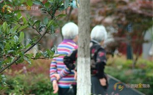 难防的“忽悠”（三）让老人远离“忽悠”  科学调理亲情陪护不可少