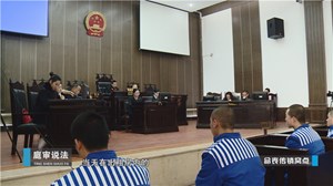 庭审说法《命丧传销窝点》预告
