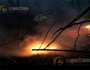 东湖山公园连发火险 不排除人为纵火可能