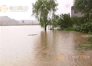 罗江新盛场镇变“汪洋” 受灾群众有序转移