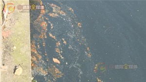 潲水油偷倒筏子河 沿河居民自发清理