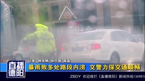 暴雨致多处路段内涝  交警力保交通顺畅