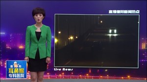 男子驾车强行冲卡  面临最高10日行政拘留