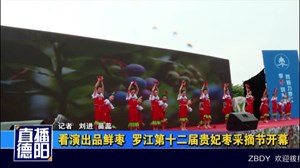 看演出品鲜枣  罗江第十二届贵妃枣采摘节开幕