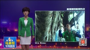 广场大树很受伤 钉子钥匙扎满身