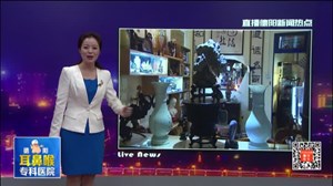 破旧民居变身私人展馆数千件藏品随便看