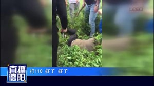 从保时捷里偷7万元  男子被捉现行遭围殴