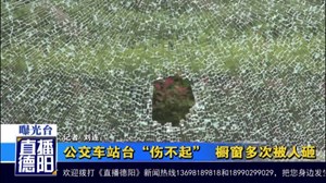 公交车站台“伤不起”  橱窗多次被人砸