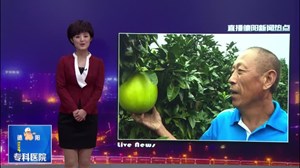 魅力乡村行（二）：柚子花开香天台