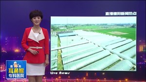 千亩种粮大户黄明水：十九大报告给咱农民吃了定心丸