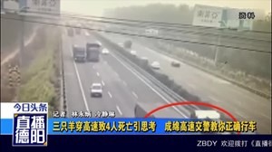 三只羊引发交通惨剧   高速路该如何正确行车？