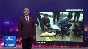 中江：盗狗团队狂作案  难逃法网被抓获