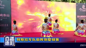 特斯拉车队助阵别墅销售