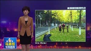 旌湖岸边银杏美  拍照留念市民乐