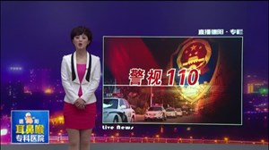半个月疯狂作案11起  夜行蟊贼终落法网