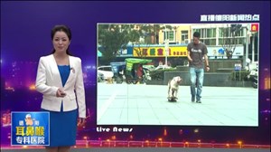 这只狗狗好有才 会玩滑板成“网红”