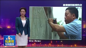 中江石雕匠人——以石为纸创造光怪陆离的石雕世界