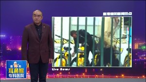 又见破坏共享单车这次是拿石头砸