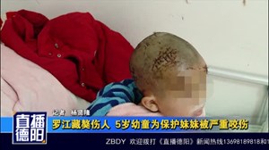 罗江：藏獒伤人 5岁幼童为保护妹妹被严重咬伤