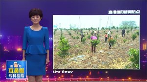 本土筑出暖窝窝 引来外地能干汉