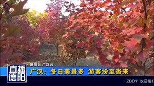 广汉：冬日美景多  游客纷至沓来