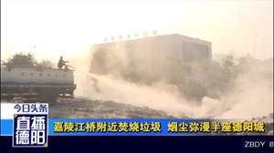 嘉陵江桥一侧垃圾被点燃烟雾弥漫空气遭污染