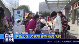 以爱之名 义卖领养救助流浪狗