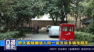 胆大蟊贼翻墙入院一夜洗劫多辆电瓶车