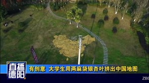 有创意  大学生用两麻袋银杏叶拼出中国地图