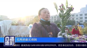 鲜花销售遇“寒冬” 期盼春节“春暖花开”