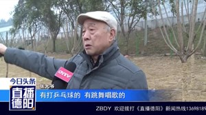 秦岭山路：绿化带中焚香点蜡 不文明祭祀何时休