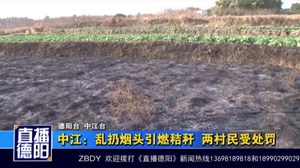中江：乱扔烟头引燃秸秆两村民受处罚