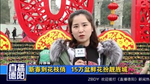 新春到花枝俏 15万盆鲜花扮靓旌城