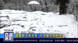 瑞雪纷飞兆丰年  什邡蓥华别样美